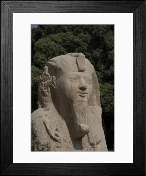 Framed Print : Africa, Egypt Framed Print : Africa, Egypt