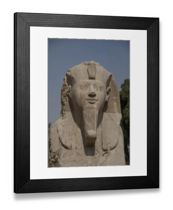 Framed Print : Egypt, Memphis (aka Menufer). Alabaster sphinx of Amenophis II Framed Print : Egypt, Memphis (aka Menufer). Alabaster sphinx of Amenophis II