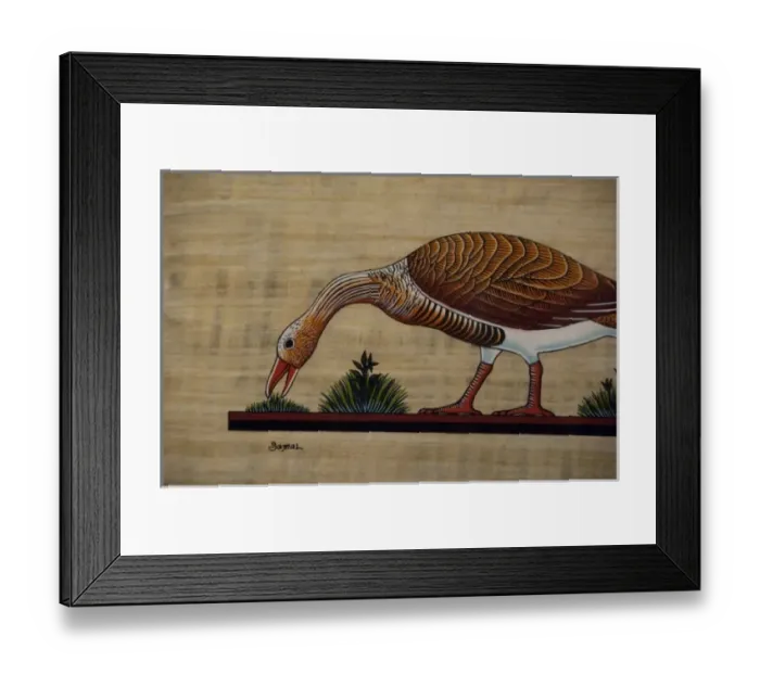 Framed Print : Africa, Egypt Framed Print : Africa, Egypt