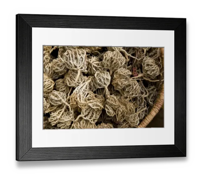 Framed Print : Africa, Egypt Framed Print : Africa, Egypt