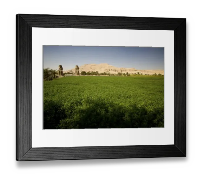 Framed Print : Egypt, Thebes. A lush, green alfalfa field at the feet of the Theban landmark Colossi