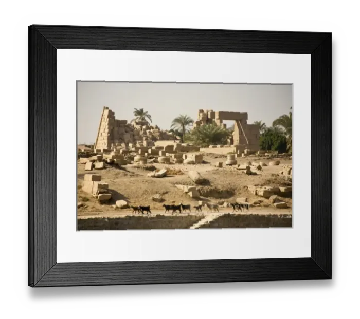 Framed Print : Africa, Egypt