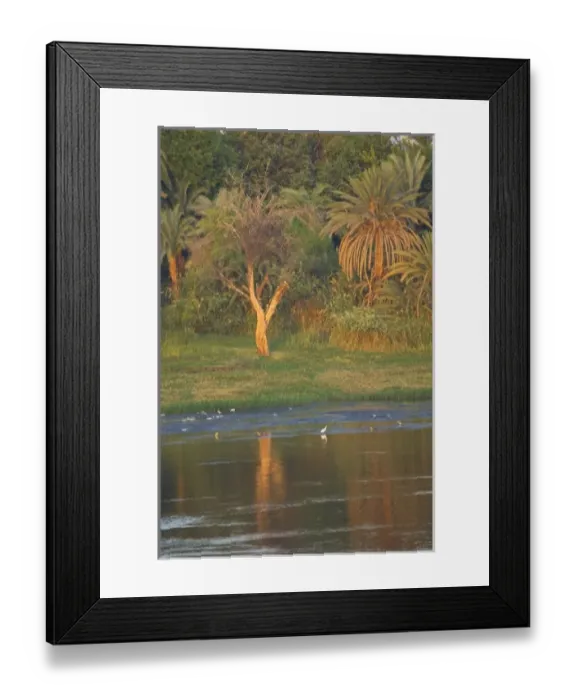 Framed Print : Cruising the nile river and the backdrop of the shoreline, with the desert just behind the Palms Framed Print : Cruising the nile river and the backdrop of the shoreline, with the desert just behind the Palms