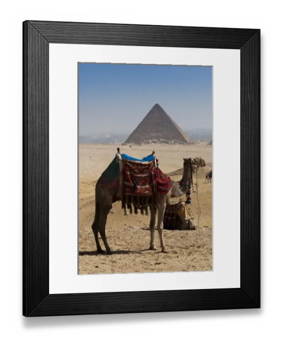 Framed Print : Africa, Egypt Framed Print : Africa, Egypt