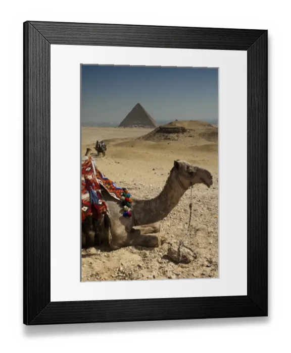 Framed Print : Africa, Egypt Framed Print : Africa, Egypt
