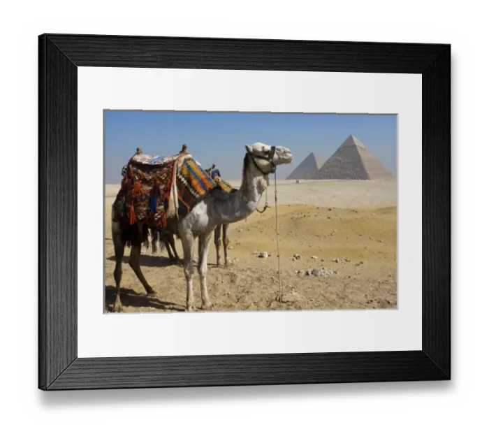 Framed Print : Africa, Egypt