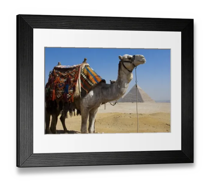 Framed Print : Africa, Egypt Framed Print : Africa, Egypt