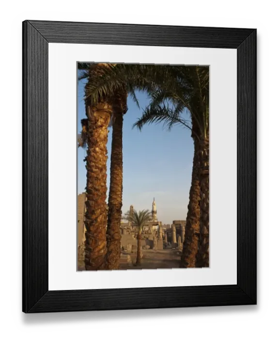Framed Print : Egypt, Luxor. Luxor Temple