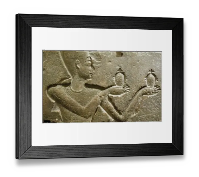 Framed Print : Africa, Egypt