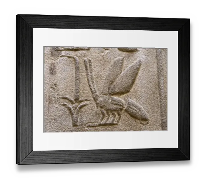 Framed Print : Africa, Egypt Framed Print : Africa, Egypt