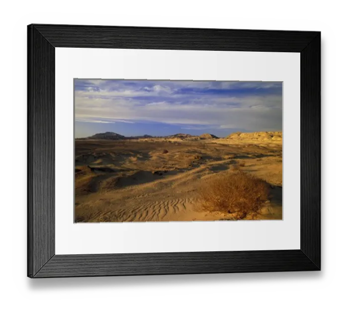 Framed Print : Africa, Egypt, Sinai. Sharm el-Sheikh, dunes at sunset Framed Print : Africa, Egypt, Sinai. Sharm el-Sheikh, dunes at sunset