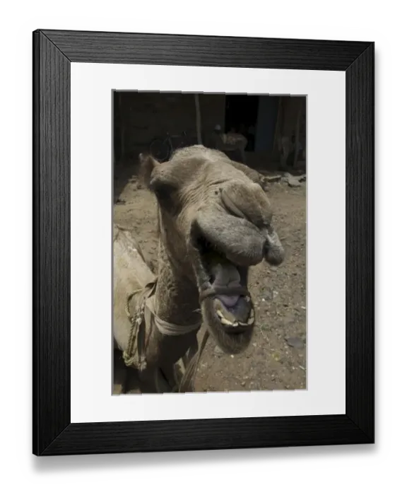 Framed Print : Africa, Ethiopia