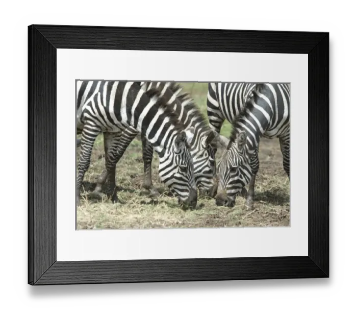 Framed Print : Africa, Ethiopia Framed Print : Africa, Ethiopia