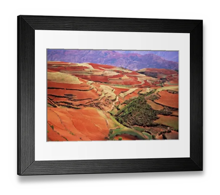 Framed Print : Asia, China, Yunnan, Dongchuan. Terraces of growing wheat & tilled earth on red Framed Print : Asia, China, Yunnan, Dongchuan. Terraces of growing wheat & tilled earth on red