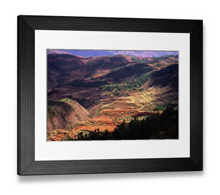 Framed Print : Asia, China, Yunnan, Dongchuan;Terraces of golden wheat & tilled earth on red (laterite) Framed Print : Asia, China, Yunnan, Dongchuan;Terraces of golden wheat & tilled earth on red (laterite)