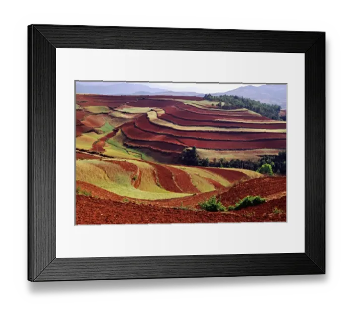Framed Print : Asia, China, Yunnan, Dongchuan. Terraces of growing wheat & tilled earth on red Framed Print : Asia, China, Yunnan, Dongchuan. Terraces of growing wheat & tilled earth on red