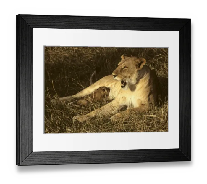 Framed Print : Africa, Kenya