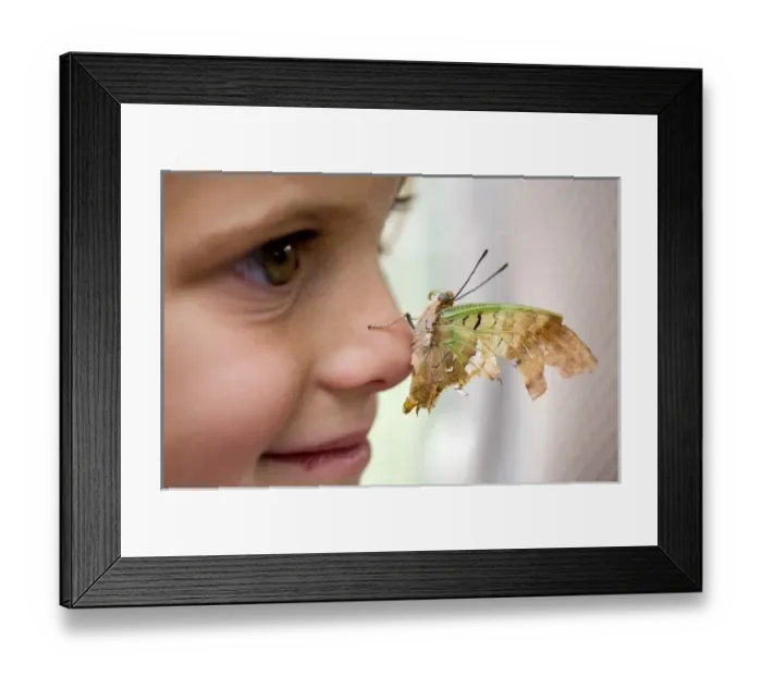 Framed Print : Africa. Kenya. Child with butterfly on her nose. (MR) Framed Print : Africa. Kenya. Child with butterfly on her nose. (MR)