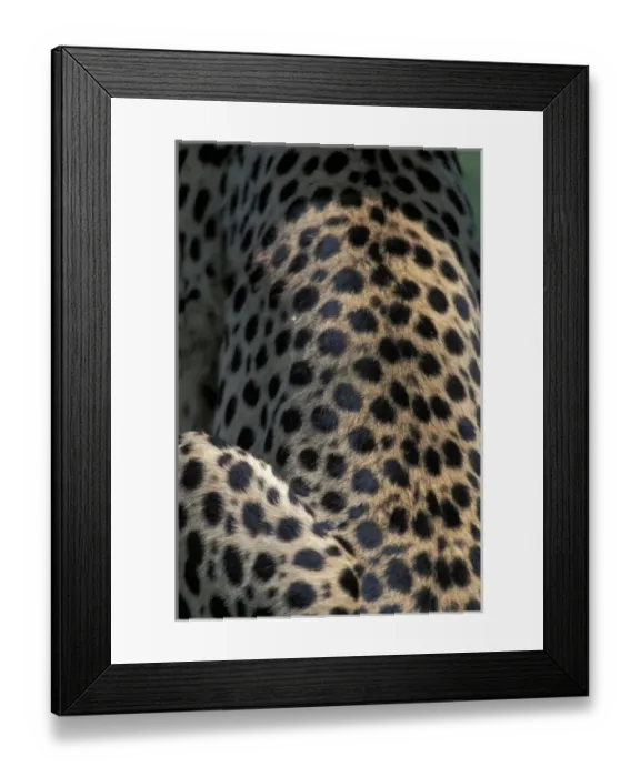Framed Print : Africa, Kenya