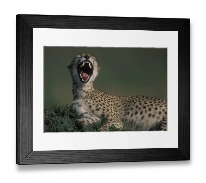 Framed Print : Africa, Kenya Framed Print : Africa, Kenya