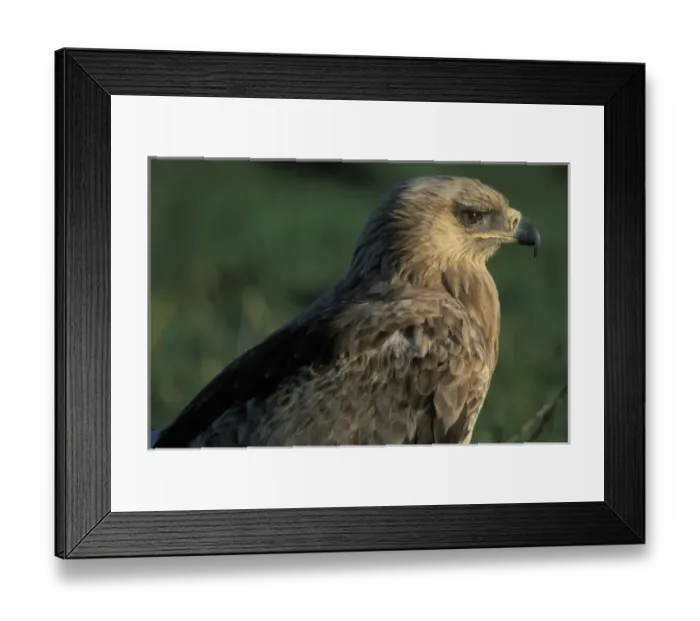 Framed Print : Africa, Kenya Framed Print : Africa, Kenya