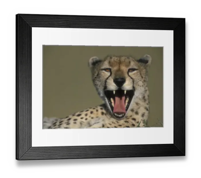 Framed Print : Africa, Kenya