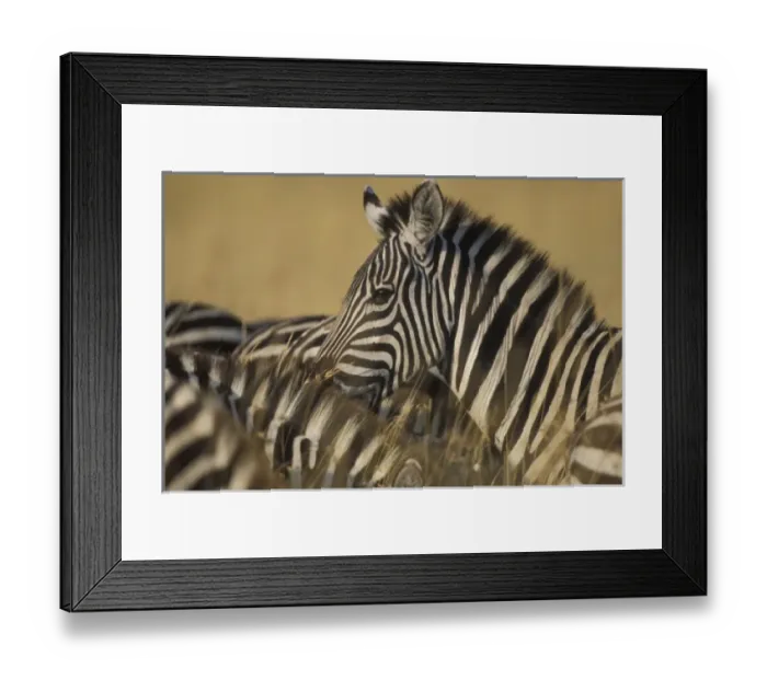 Framed Print : Africa, Kenya Framed Print : Africa, Kenya