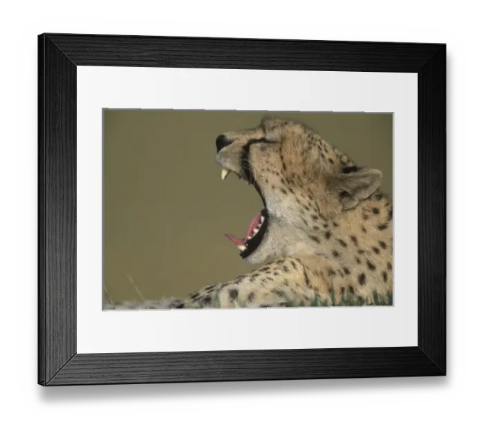 Framed Print : Africa, Kenya Framed Print : Africa, Kenya
