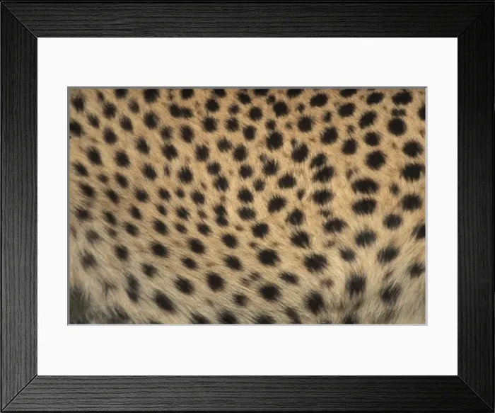 Framed Print : Africa, Kenya