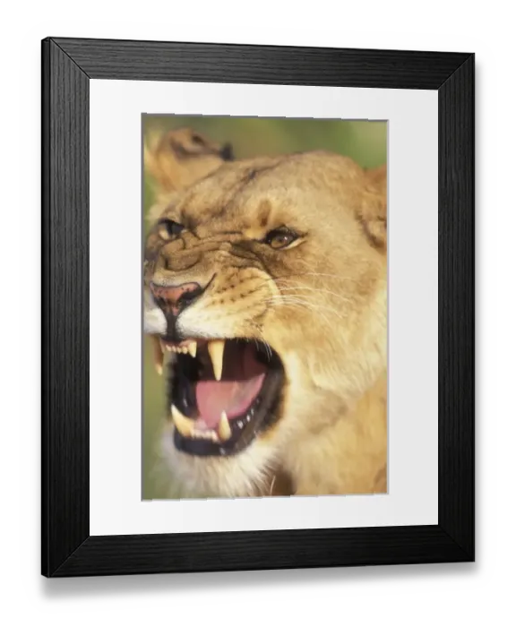 Framed Print : Africa, Kenya