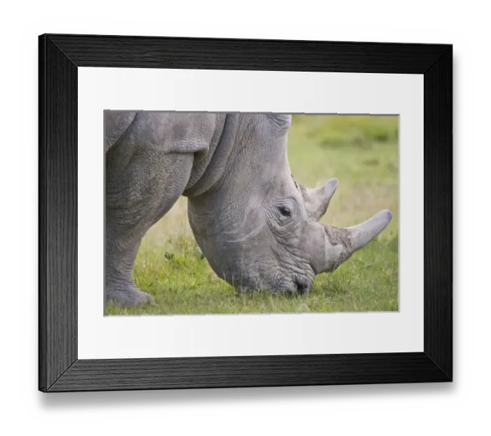 Framed Print : Africa, Kenya Framed Print : Africa, Kenya