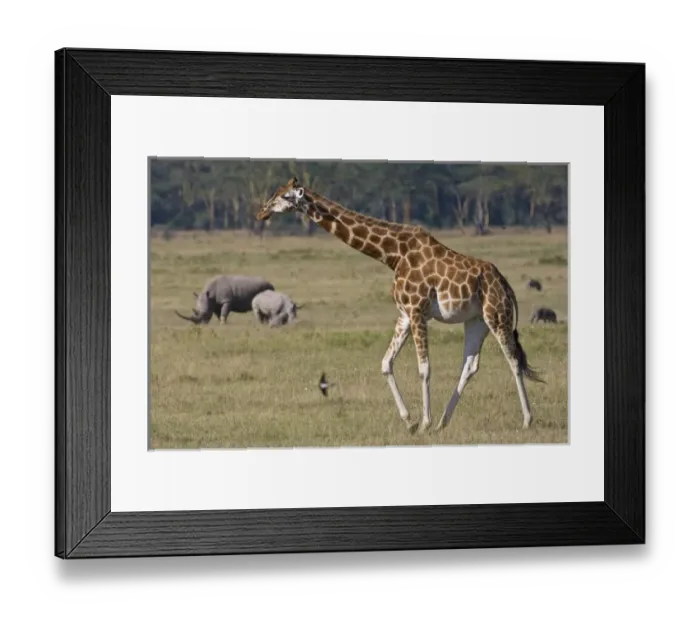 Framed Print : Africa, Kenya Framed Print : Africa, Kenya