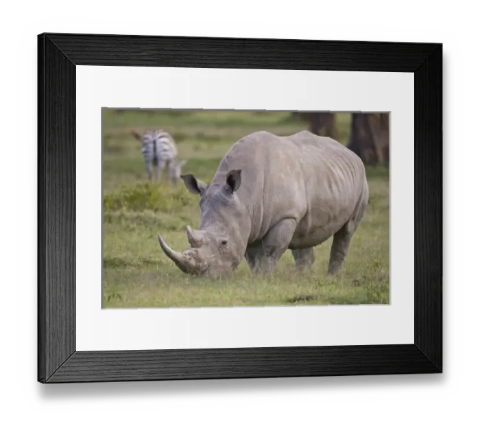 Framed Print : Africa, Kenya Framed Print : Africa, Kenya