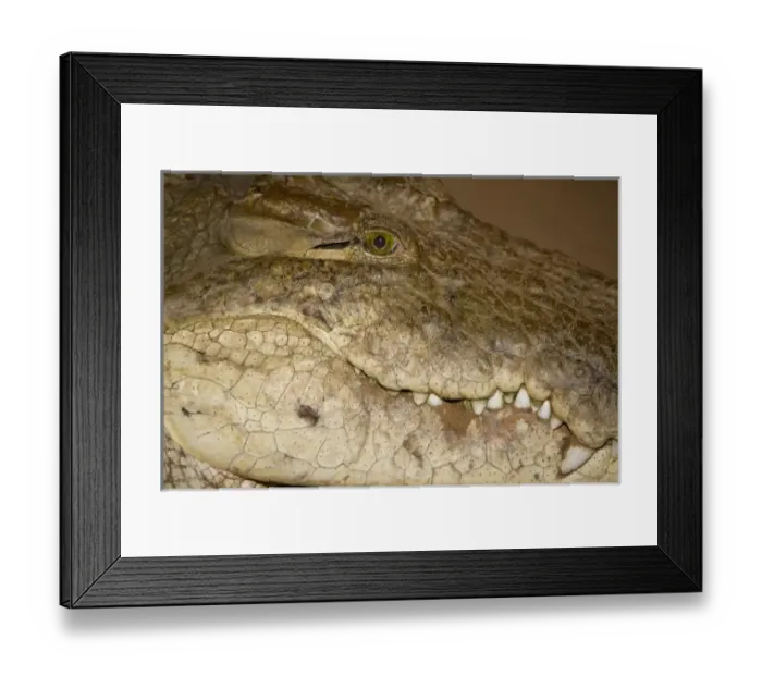 Framed Print : Africa, Kenya Framed Print : Africa, Kenya