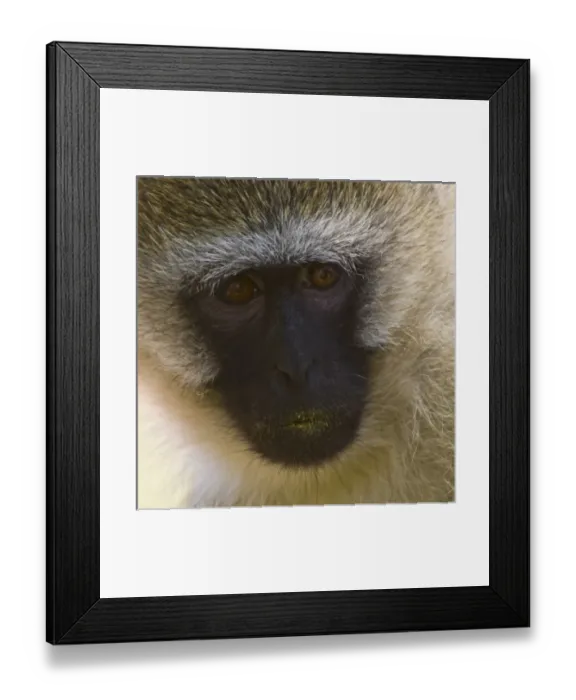 Framed Print : Africa, Kenya