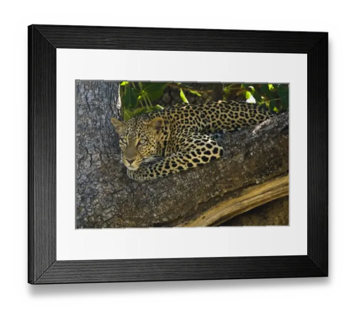 Framed Print : Africa, Kenya