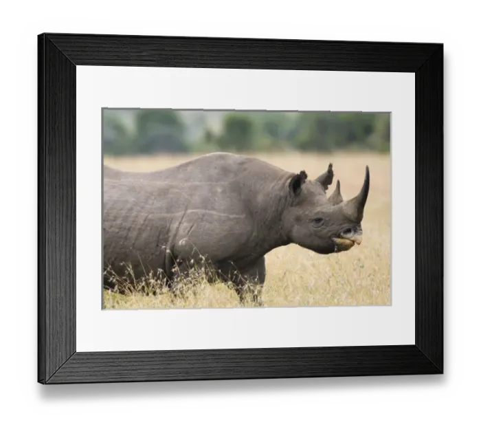 Framed Print : Africa, Kenya