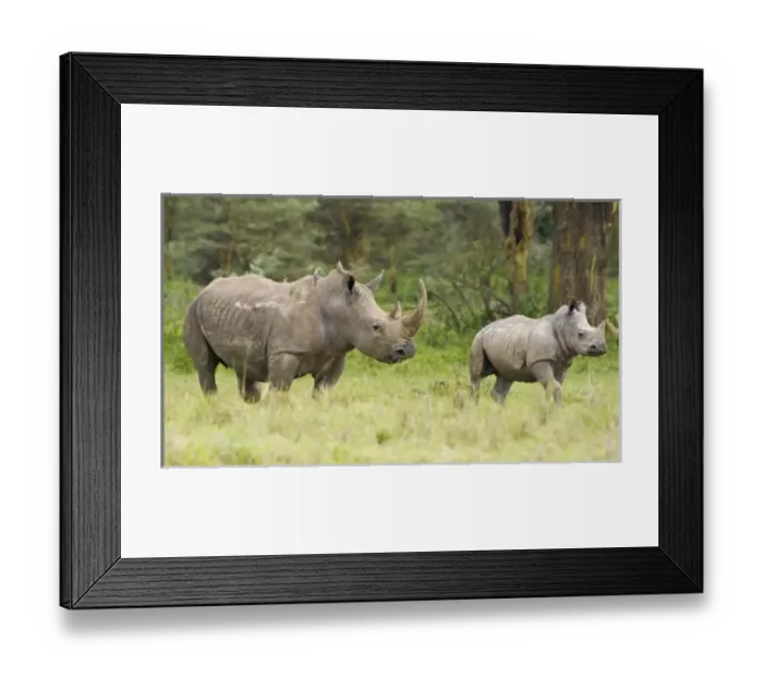 Framed Print : Africa, Kenya Framed Print : Africa, Kenya
