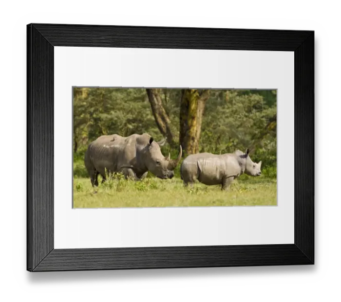 Framed Print : Africa, Kenya Framed Print : Africa, Kenya