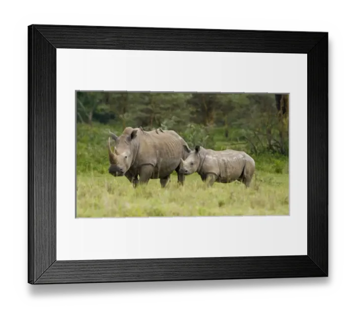 Framed Print : Africa, Kenya Framed Print : Africa, Kenya