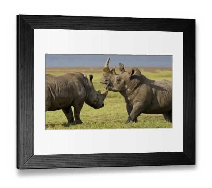 Framed Print : Africa, Kenya Framed Print : Africa, Kenya