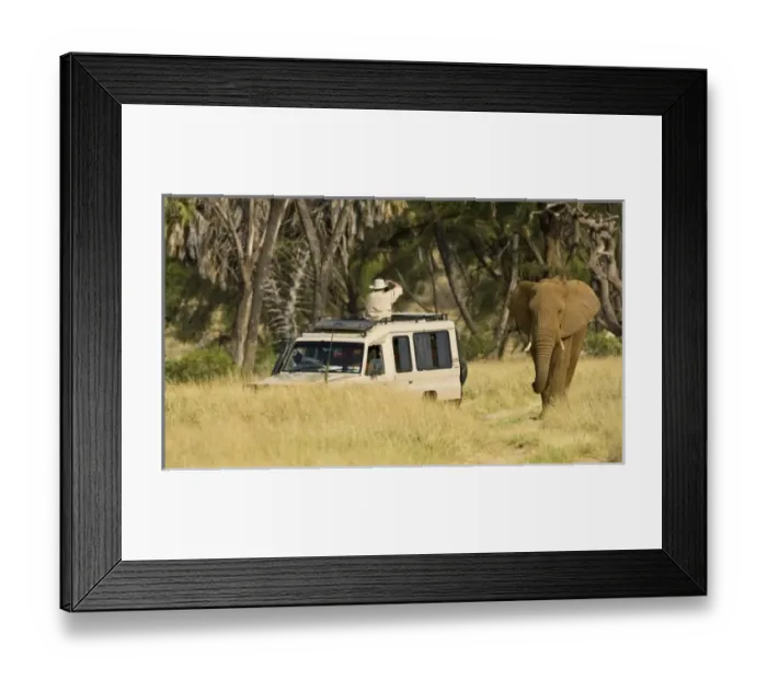 Framed Print : Africa, Kenya Framed Print : Africa, Kenya
