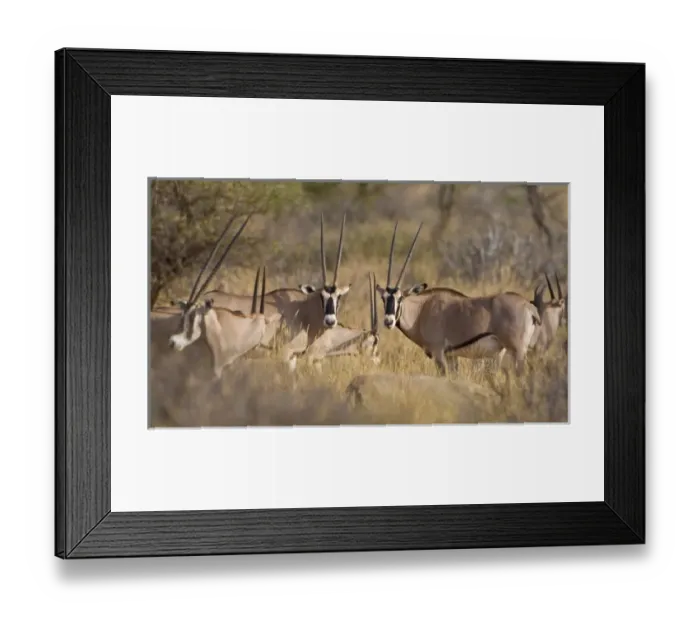 Framed Print : Africa, Kenya Framed Print : Africa, Kenya
