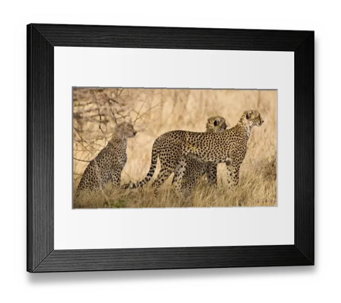 Framed Print : Africa, Kenya