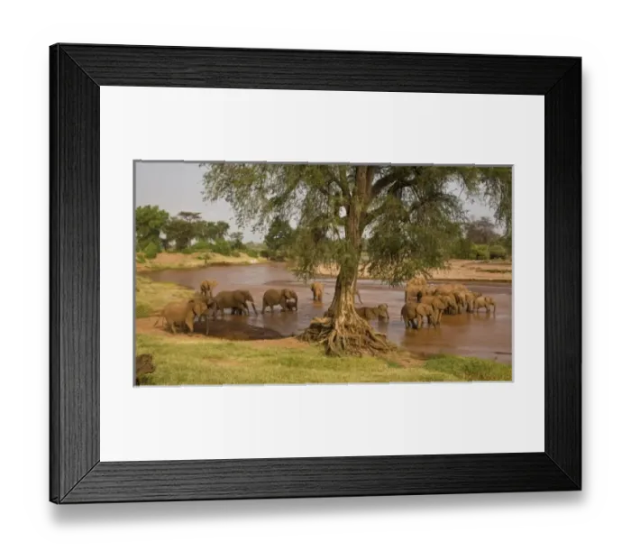 Framed Print : Africa, Kenya Framed Print : Africa, Kenya