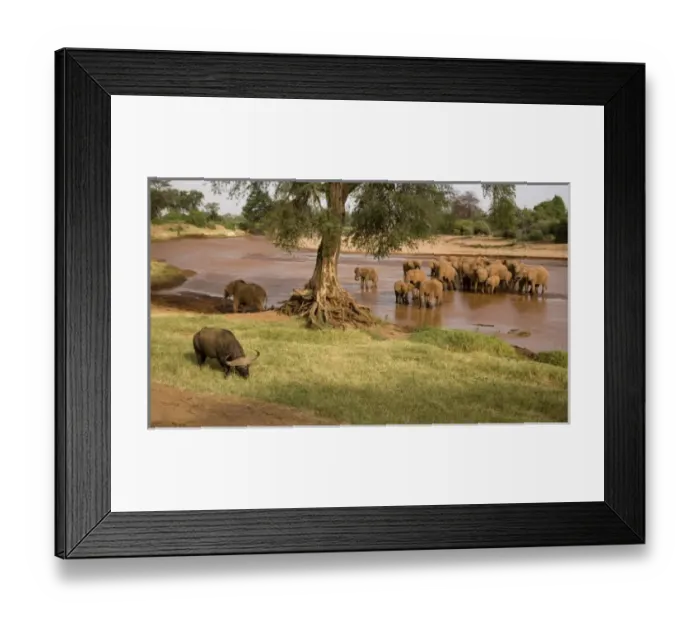 Framed Print : Africa, Kenya