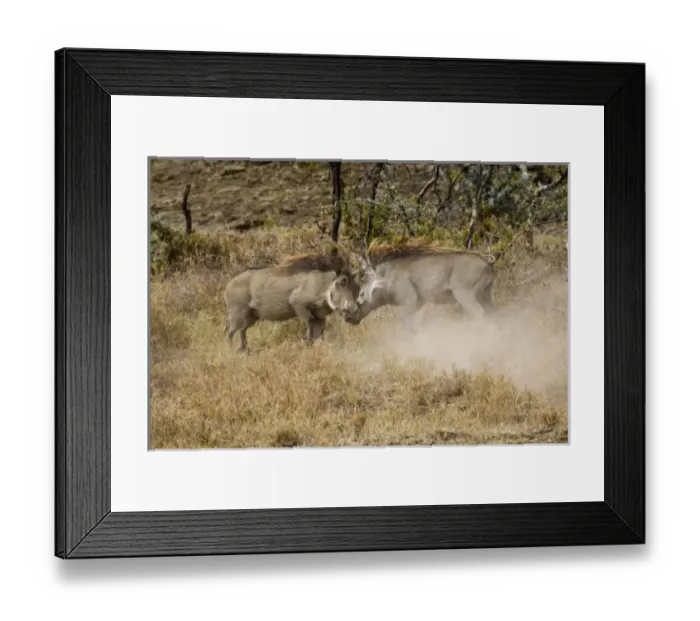 Framed Print : Africa, Kenya Framed Print : Africa, Kenya