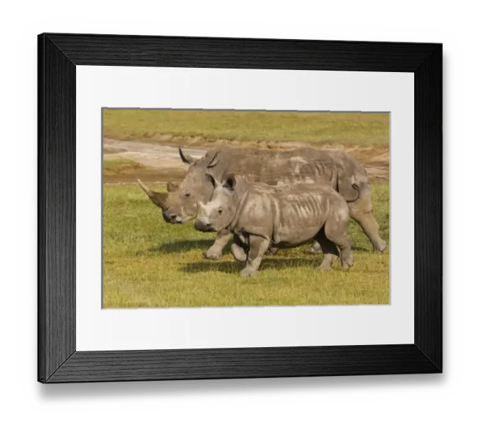 Framed Print : Africa, Kenya Framed Print : Africa, Kenya