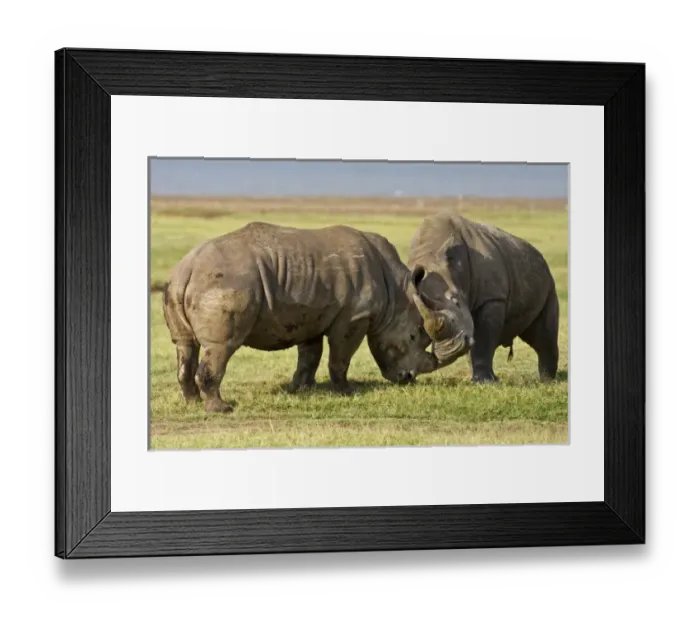 Framed Print : Africa, Kenya Framed Print : Africa, Kenya