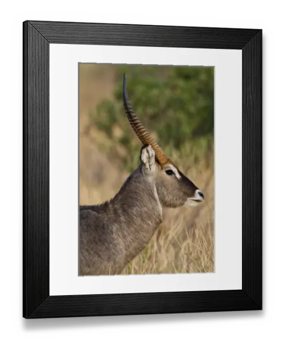 Framed Print : Africa, Kenya